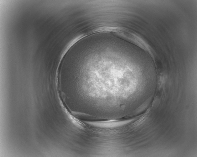 X0000067471050200604071149