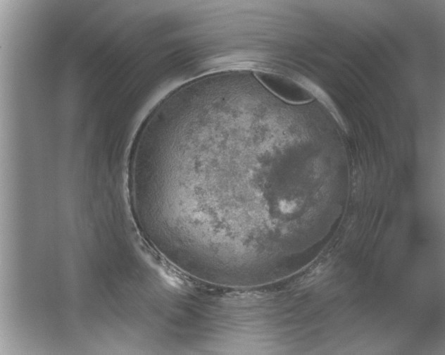 X0000067471051200604071149