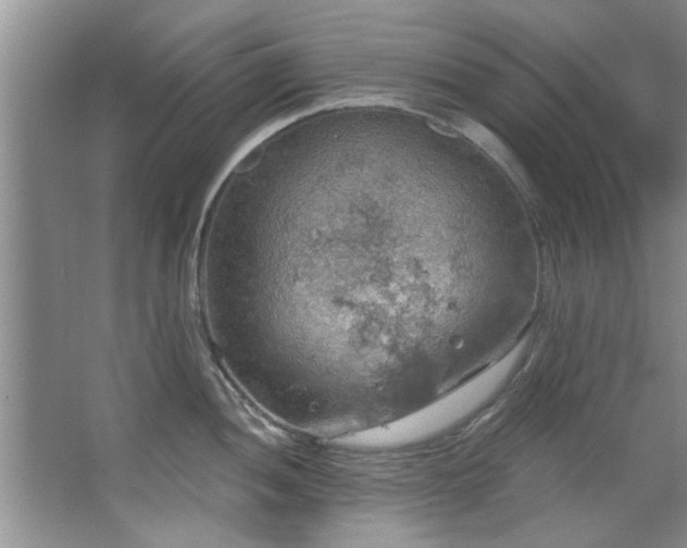 X0000067471052200604071149