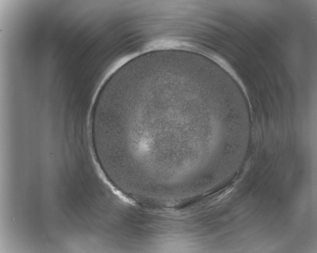 X0000067471053200604071149