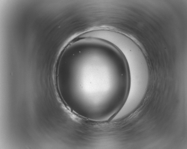 X0000067471054200604071149