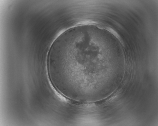 X0000067471055200604071149