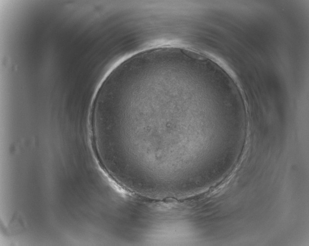 X0000067471056200604071149