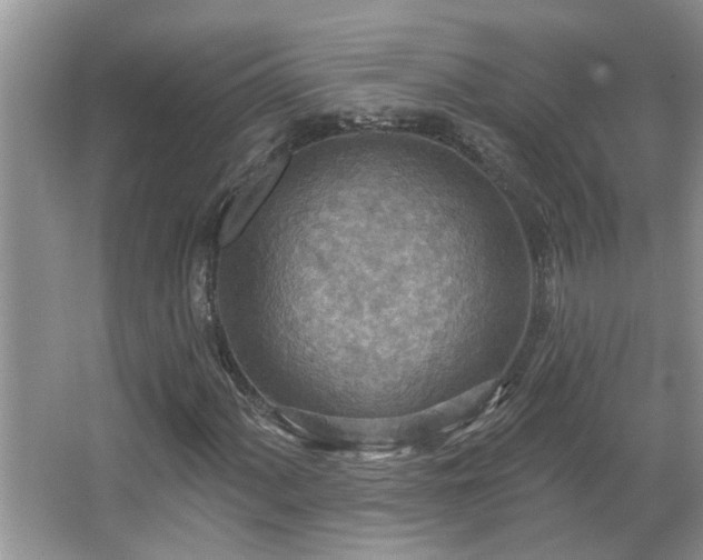 X0000067471060200604071148