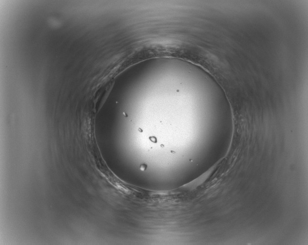 X0000067471061200604071148