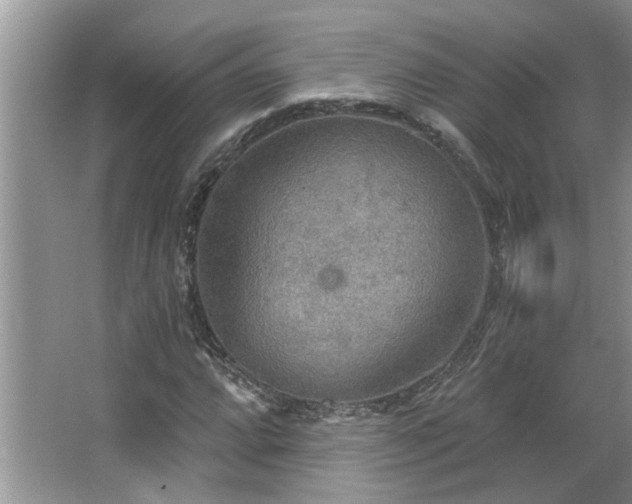 X0000067471064200604071148