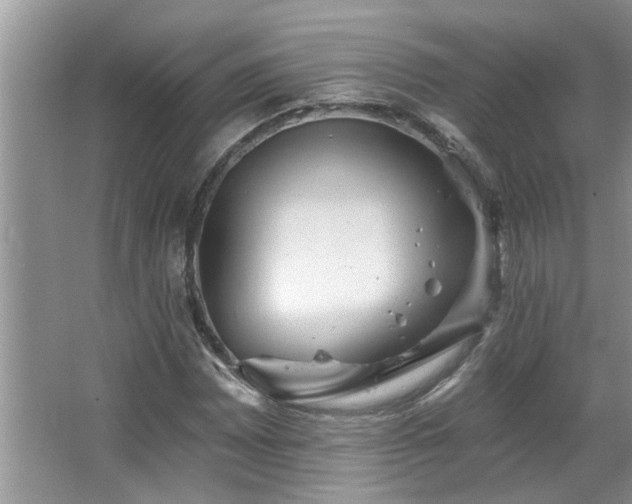 X0000067471065200604071148