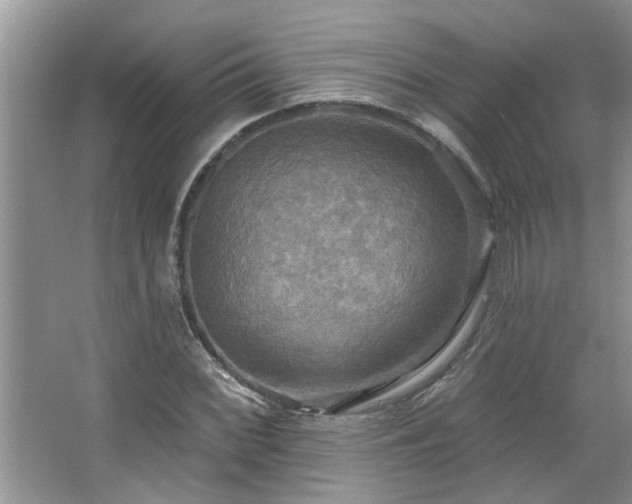 X0000067471068200604071148