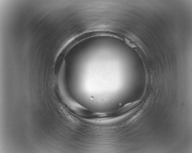 X0000067471069200604071148