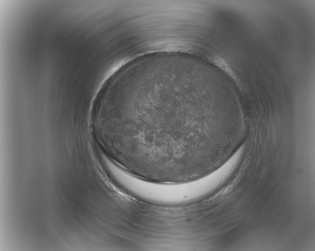 X0000067471071200604071148