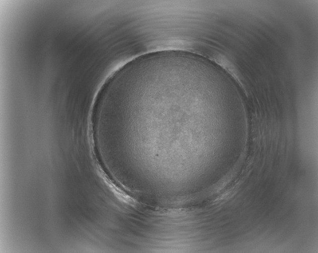 X0000067471072200604071148