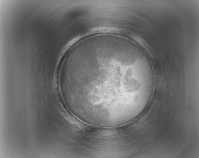 X0000067471074200604071148