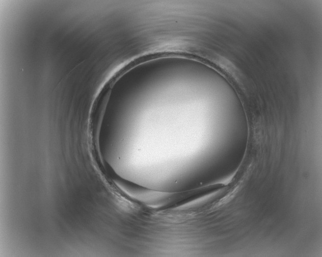 X0000067471077200604071148