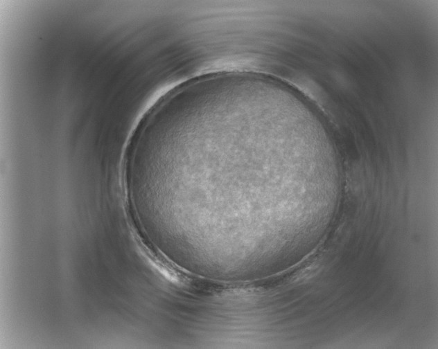 X0000067471078200604071148