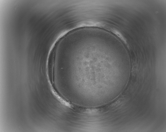 X0000067471080200604071148