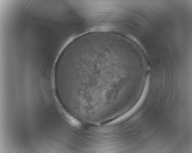 X0000067471083200604071148