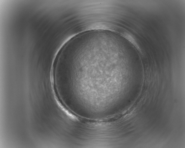 X0000067471084200604071148