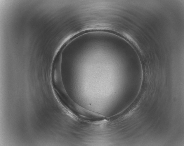 X0000067471085200604071148