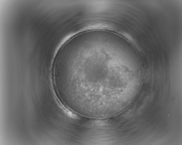 X0000067471086200604071148