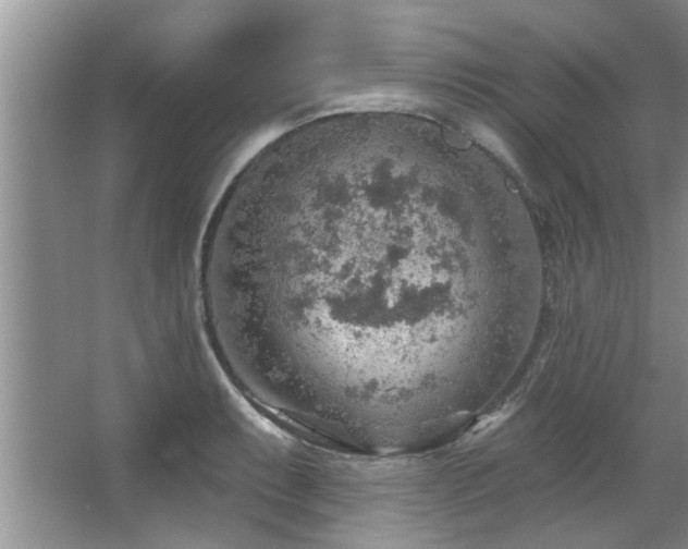 X0000067471087200604071148