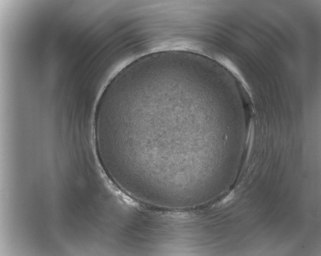 X0000067471088200604071148