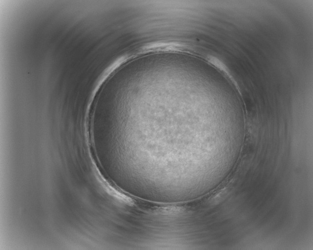 X0000067471090200604071148