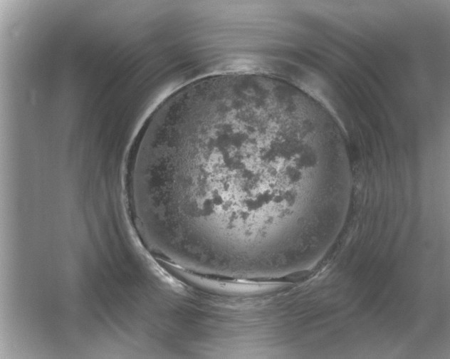 X0000067471091200604071148