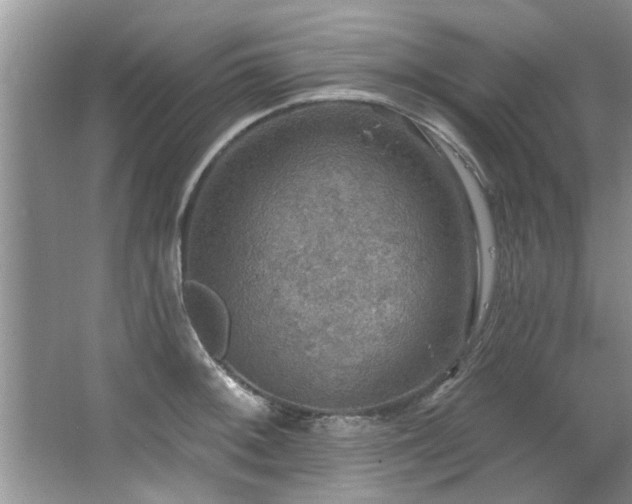 X0000067471092200604071148