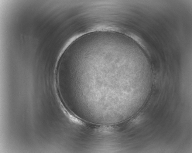 X0000067471094200604071148