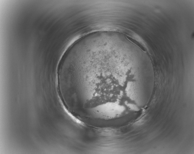 X0000067471095200604071148