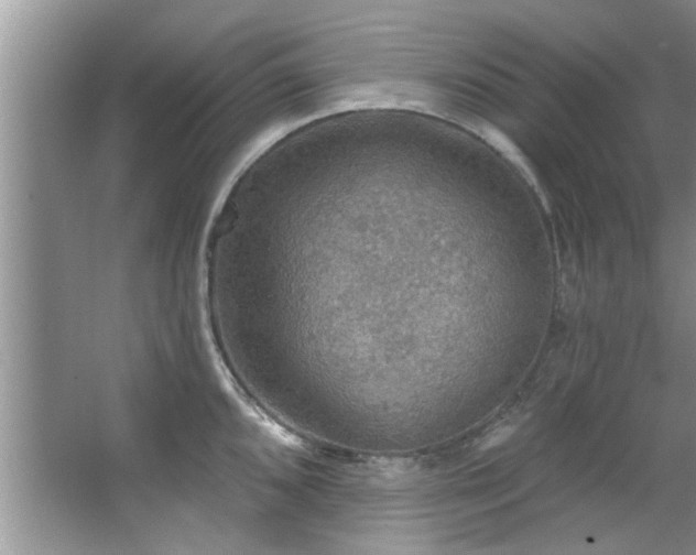 X0000067471096200604071148