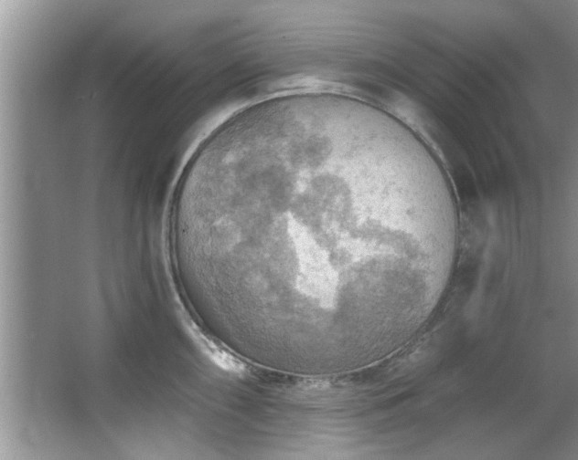 X0000067471098200604071148