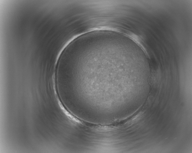 X0000067471100200604071148