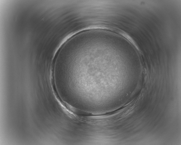 X0000067471101200604071148