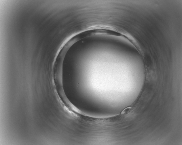 X0000067471102200604071148