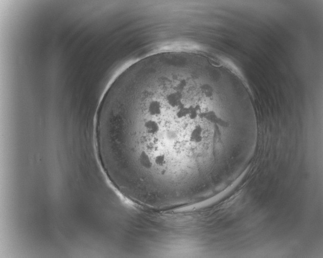 X0000067471103200604071148