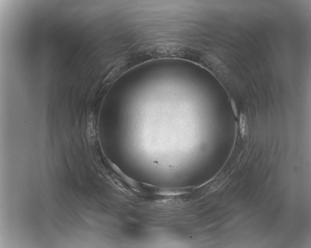 X0000067471107200604071147