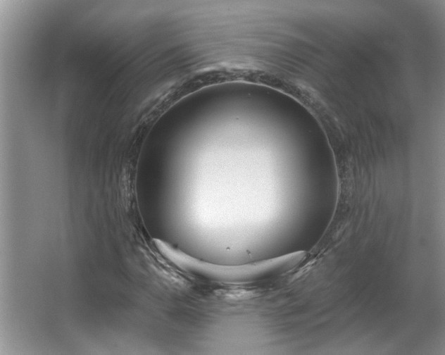 X0000067471110200604071147