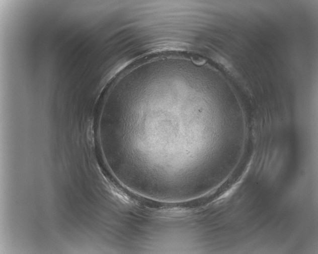 X0000067471113200604071147