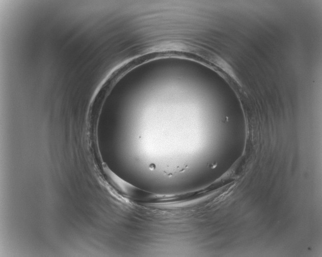 X0000067471116200604071147