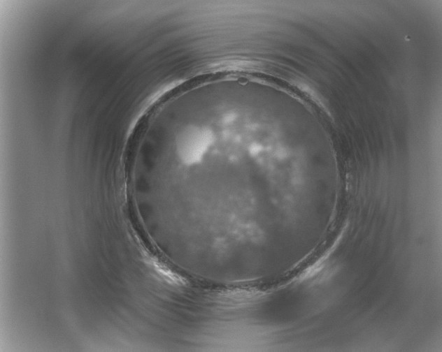 X0000067471117200604071147