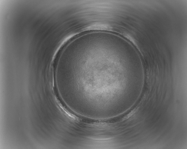 X0000067471123200604071147