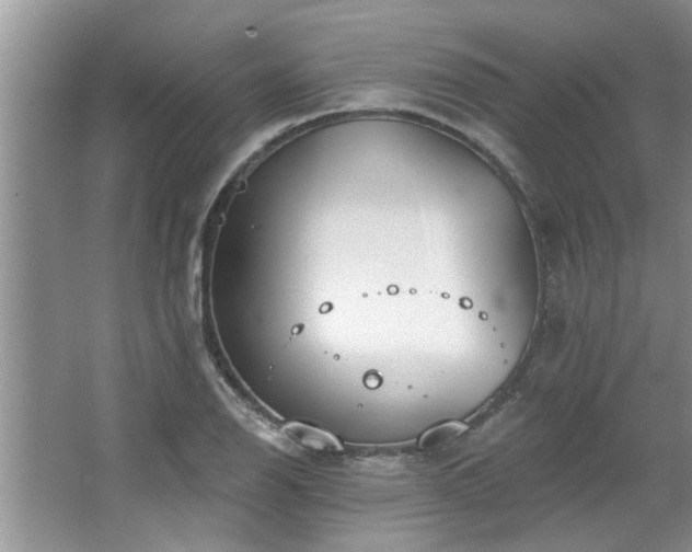 X0000067471126200604071147