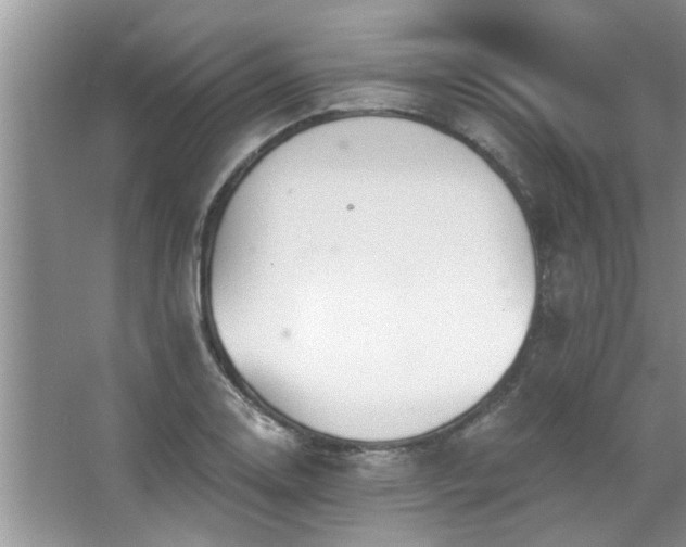 X0000067471130200604071147