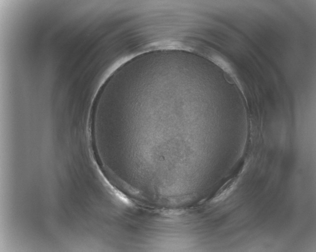 X0000067471141200604071147