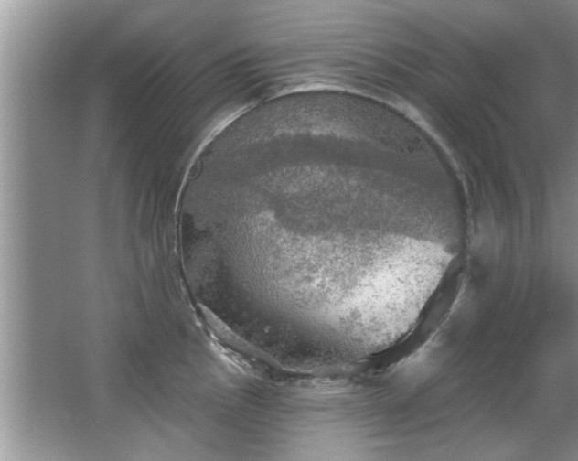 X0000067471145200604071147