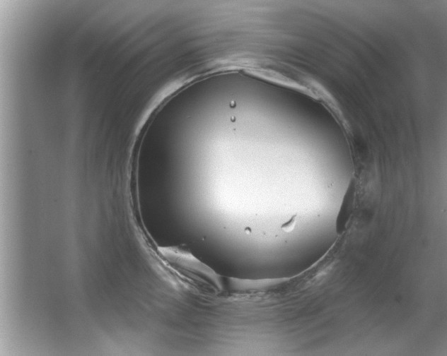 X0000067471146200604071147