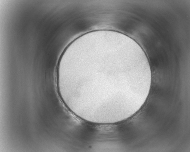 X0000067471150200604071147