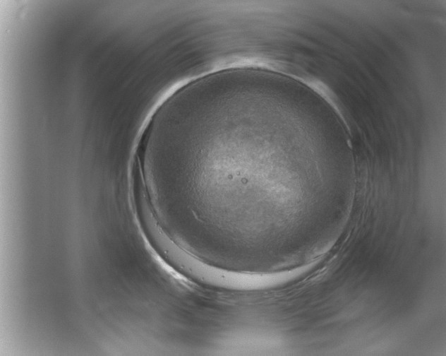 X0000067471151200604071147