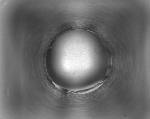 X0000067471153200604071147